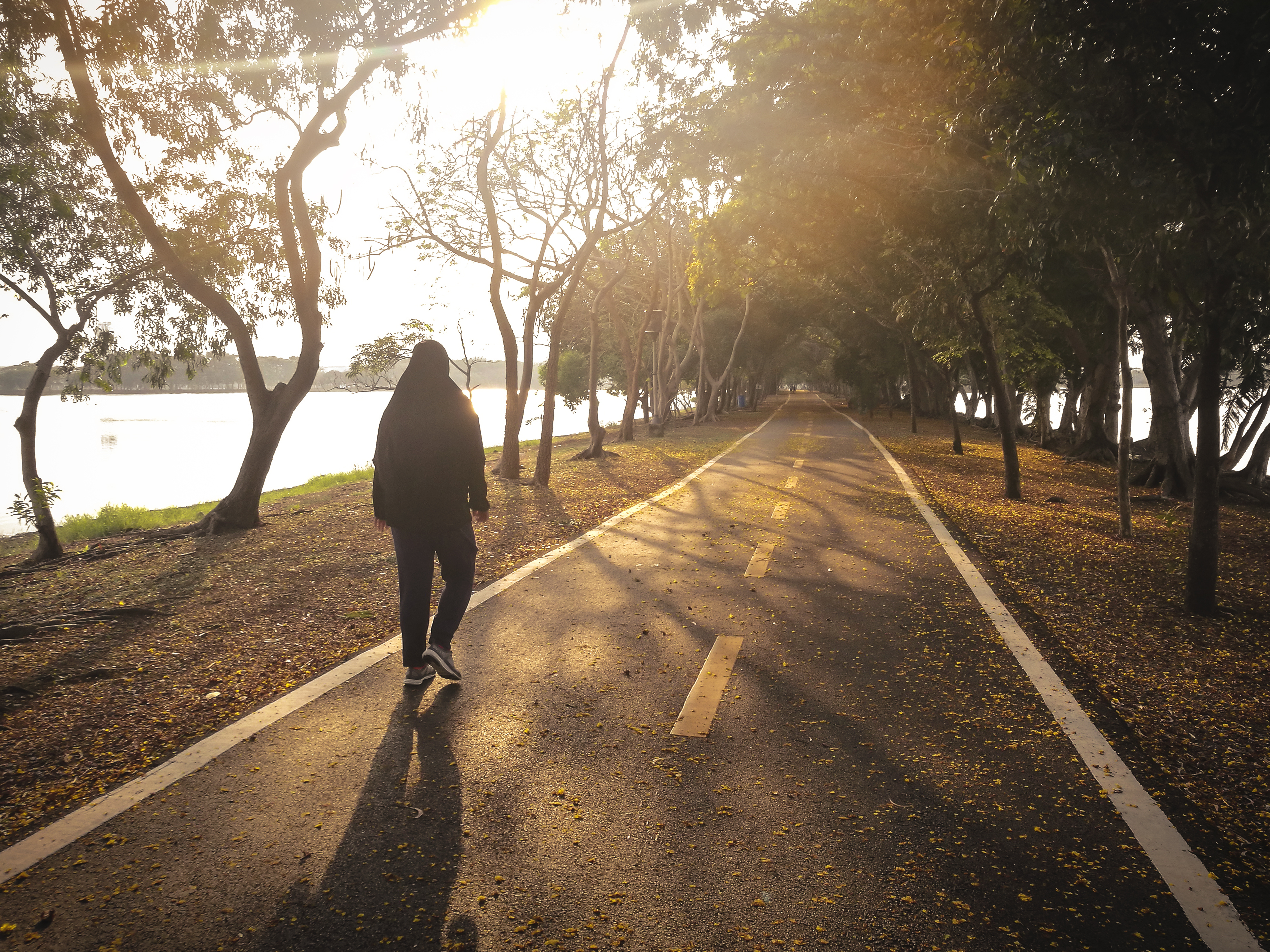 Person walking alone along a sunlit, tree-lined path, representing reflection, healing, and moving forward. Person walking alone along a sunlit, tree-lined path, representing reflection, healing, and moving forward.